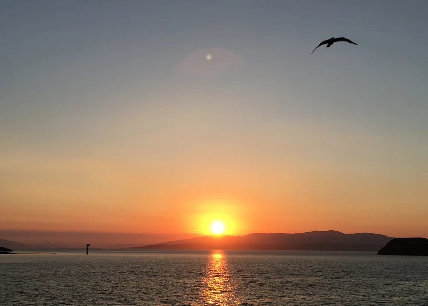 The sun setting over the Santa Barbara Channel with a gull in flight.